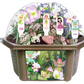 Fanciful Fairy Garden Biosphere Terrarium