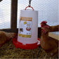 Farm Innovators All-Seasons Heated Plastic Poultry Fountain 3 Gal