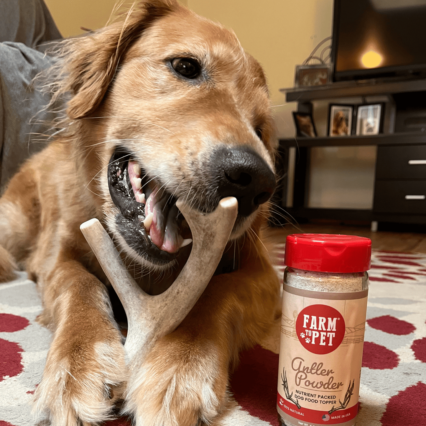 Deer Antler Dog Chews | Organic Chews for Dogs