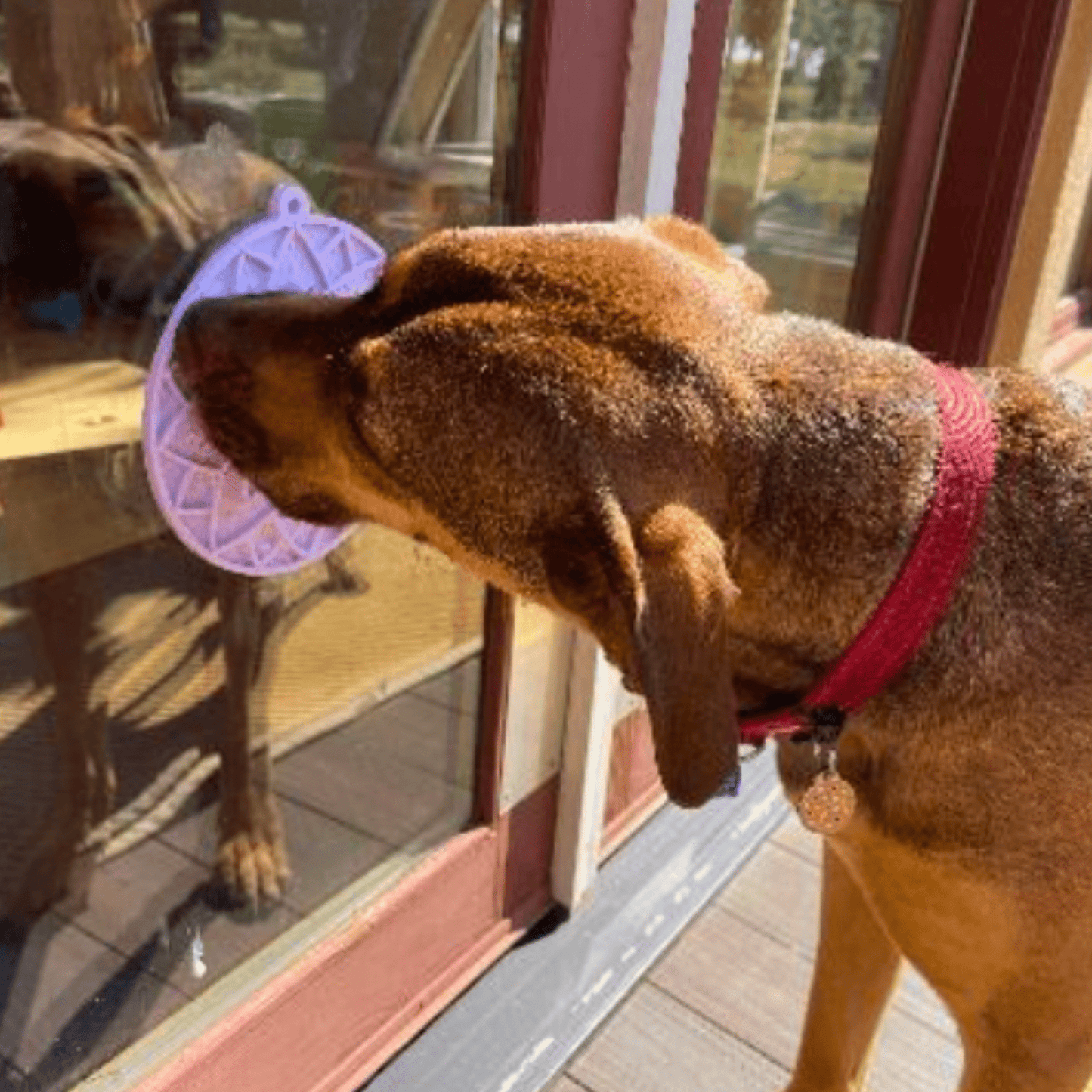 Dog Lick Mats with Suction Cups