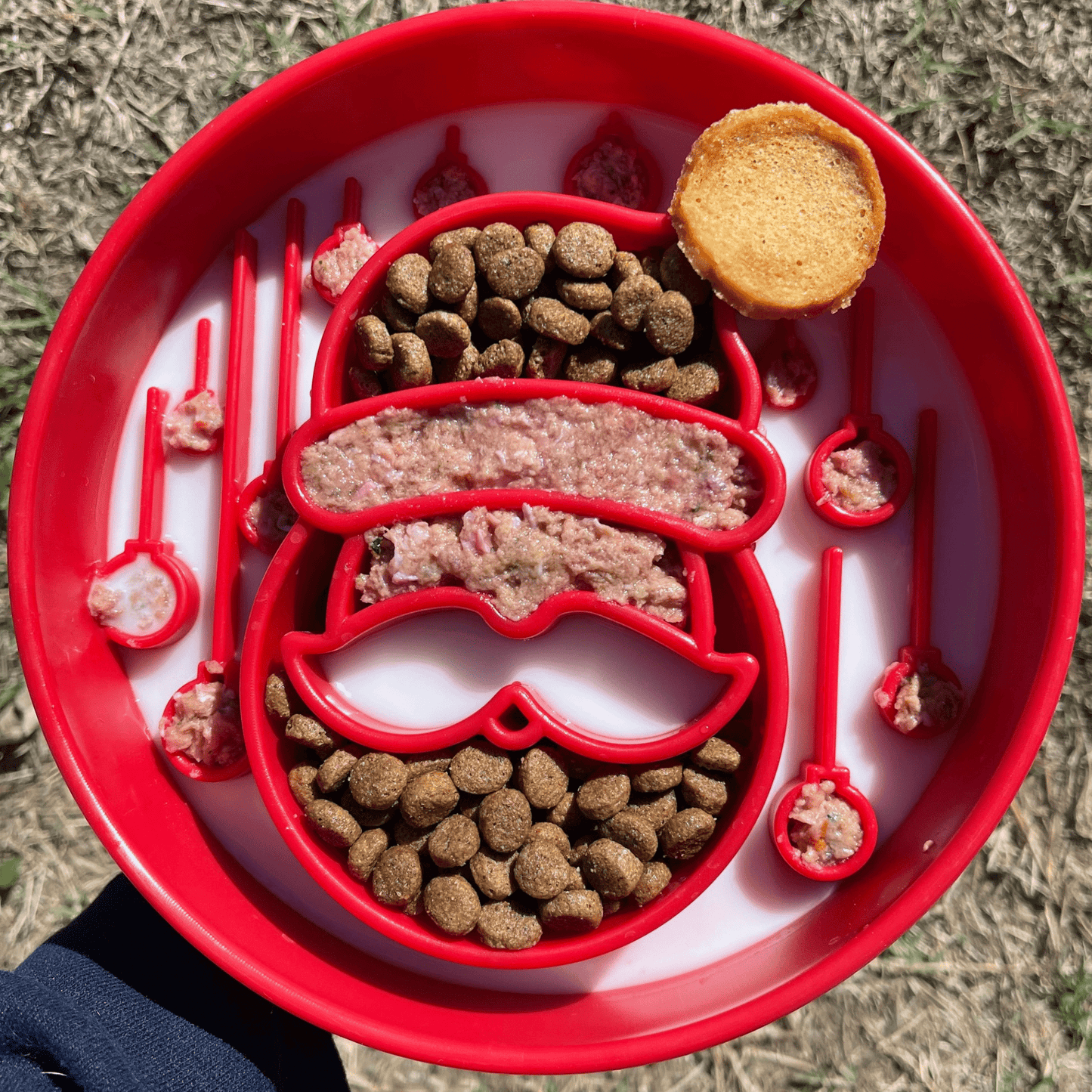 Slow Feeder Dog Bowls