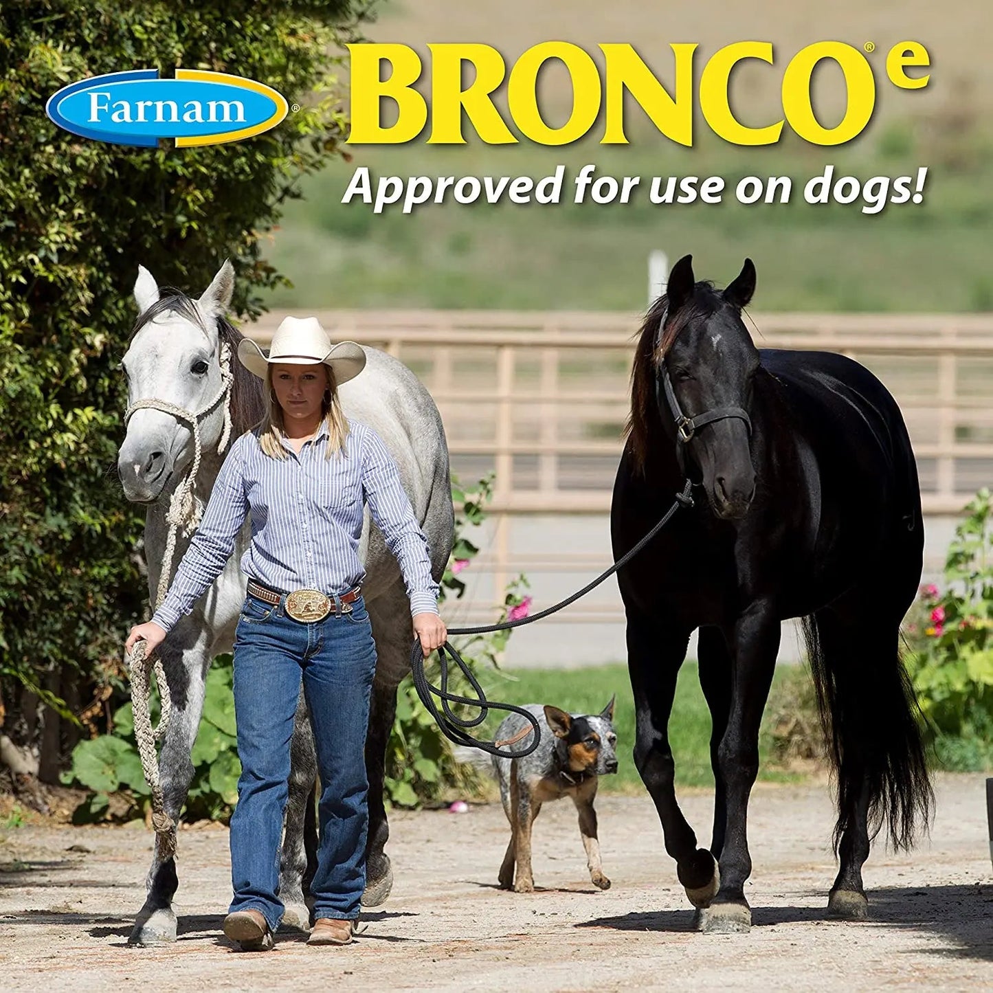 Farnam Bronco Equine Fly Spray Plus Citronella Repellent for Horses & Dogs 32 oz.