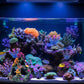 Fish Tank Decoration Coral Reef Set Aquarium Ornament Cave Plants Betta Decor