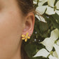 Five Petal Wild Flower Earrings