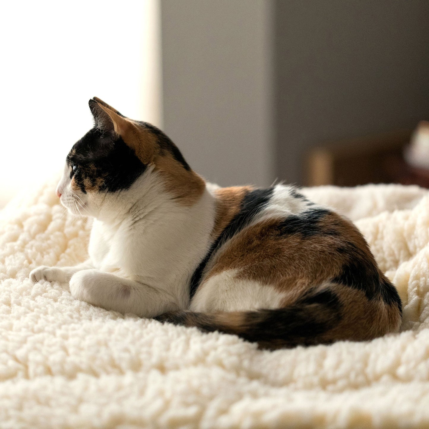 HuggleFleece® Mat Cat & Dog Bed