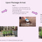 Premium French Provence Lavender Plant Fresh Dried Flowers Bundle