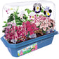 Flower Princess Palace Mini World Terrarium