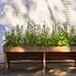 Seed Pops - Pollinator