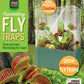 Venus Fly Trap Seed Square Terrarium