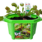 Fred 'The Ferocious' Flytrap Micro Dome Terrarium