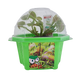 Fred 'The Ferocious' Flytrap Micro Dome Terrarium
