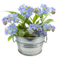 Flowering Tin Garden Variety Pack - 1 Each of 3 Varieties
