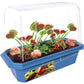 Frightening Flytraps Mini World Terrarium