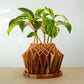 Galaxy Groove Plant Pot