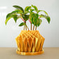 Galaxy Groove Plant Pot