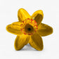 Daffodil Bird Feeder and Bath, Cast Iron Garden Stake Outdoor Decor