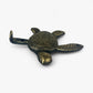 Sea Turtle Wall Hooks, Cast Iron Set of 3, Mixed Finishes