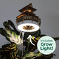Sunrise Terrace + Grow Light