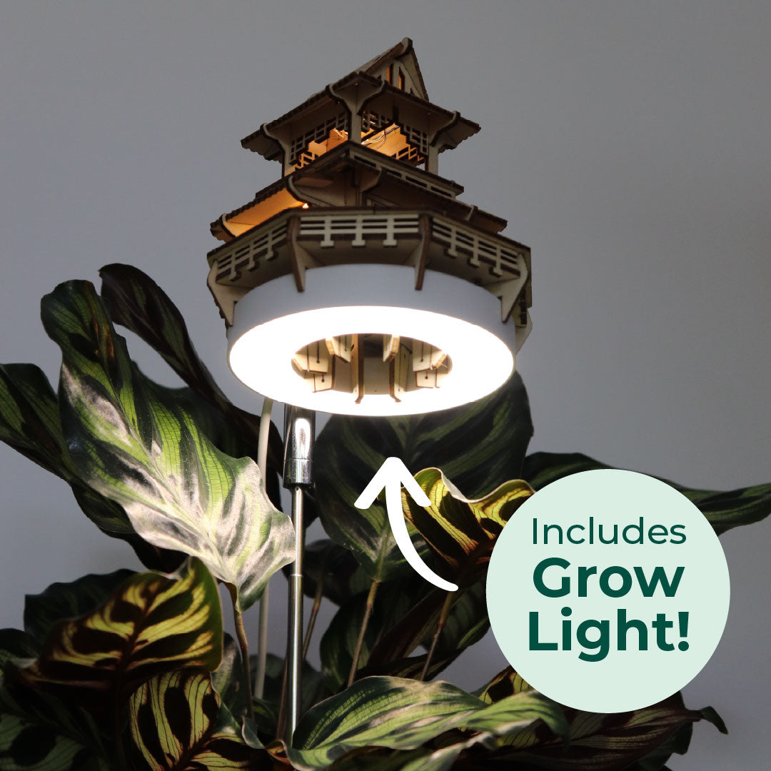Sunrise Terrace + Grow Light