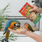 Higgins Sunburst Freeze-Dried Pineapple Mango .5 oz Bird Treat Natural Parrots