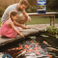 Aquatic Feed Catfish Floater Koi Fish Food 50lbs Floating Formula