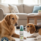 Douxo S3 SEB Mousse 5.1 oz Relief For Seborrhea In Dogs And Cats