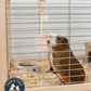 Hamster & Gerbil Bundle Sunburst Higgins Food + Lixit Bottle + Ware Salt Rope Trio Pack