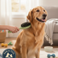 Coastal Safari Pin & Bristle Combo Dog Brush Dual Sided Plastic Handle Groomer