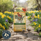Alligator Premium Wild Bird Seed Blend 5 lb No Corn Natural Year-Round Feed