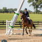 Succeed Digestive Conditioning Paste Supplement for Horses 1-Count