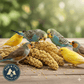 Higgins Spray Millet Bird Treats 12-Count Non-GMO Natural Foraging All Birds