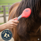 Horse Grooming & Stable Bundle Micro-Tek Shampoo, Grooming Brush, Muffins & Mat