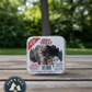 C&S Wild Bird Suet Seed Treat 11 oz & Large Suet Basket Feeder Combo