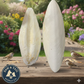Cuttlebone Calcium Combo Pack 6” + 10” Natural Calcium for Birds & Reptiles