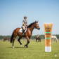 Absorbine Liniment Gel for Horses Soothes Muscles & Joints After Training 3 oz.
