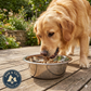 Bergan Stainless Steel Dog Bowl 17 Cup Capacity Durable Wide Base Food & Water Dish