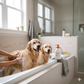 Douxo S3 PYO Shampoo 6.7 oz Dog & Cat Antiseptic Itch Relief Skin Care