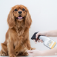 Absorbine Silver Honey Spray Gel Dogs Cats Hot Spot Wound Care Antibiotic-Free 8 oz.