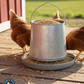 Miller Galvanized Hanging Chicken Feeder 12 lb Metal Poultry Feed Dispenser