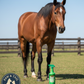 Pyranha Zero-Bite Natural Insect Spray 32 oz Horse Dog Cat Fly Repellent