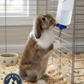 Pet Lodge Weather-Tuff Water Bottle 16 oz Outdoor Small Animal Cage Bottle