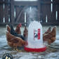 API Heated Chicken or Bird Waterer Heated Poultry Waterer, 3 Gallon