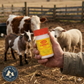 Dr. Naylor Dehorning Paste Prevents Horns Growth Cattle Goat Sheep 4 oz.