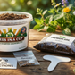 Cucumber Grow Kit | Grow Cucumber from Seed | Seeds In A Cup®
