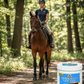 Absorbine Horseman's One Step Leather Cleaner Conditioner Tack Care Lanolin 15 oz.