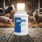 Vet Plus Probios Feed Granules Probiotic Supplement for Horses Livestock 5lbs.