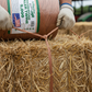 Alligator Brand Orange Polypropylene Baler Twine 9000 ft High Strength Trouble-Free