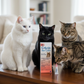 Catego Flea & Tick Spot Treatment for Cats 1.5+ lb Single Dose 1 Month