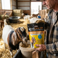 Durvet Goat Care 2X Type C Feed Pellets Goat Dewormer 3 lbs.