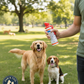 Halt II Dog Repellent Spray 1.5 oz Extra Strong Capsaicin Dog Deterrent 6-Pack